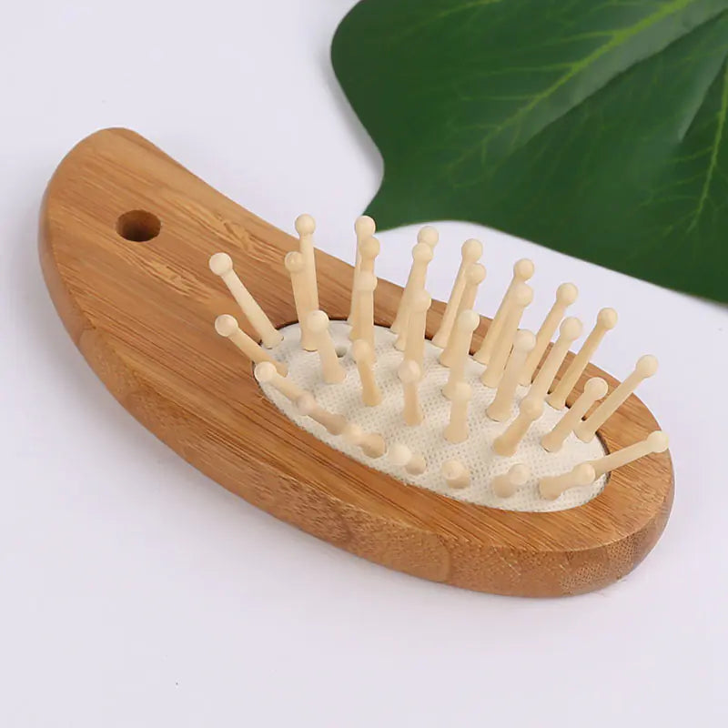 Premium Hair Detangler Brush