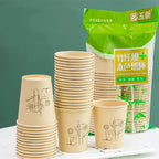 Bamboo Fiber Cups