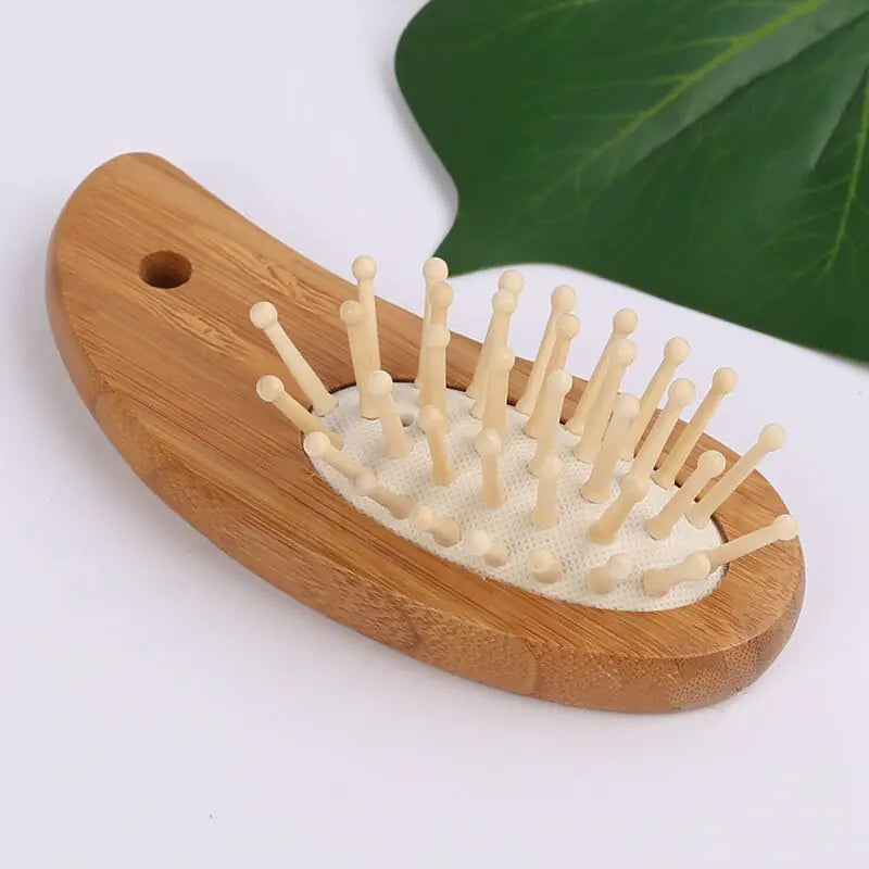 Premium Hair Detangler Brush