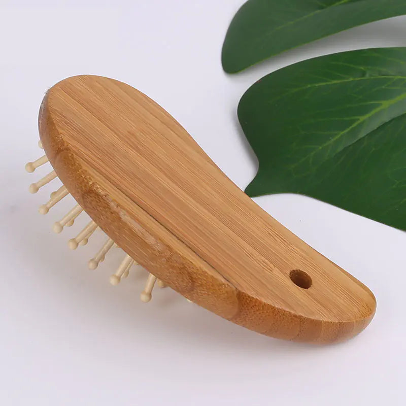 Premium Hair Detangler Brush