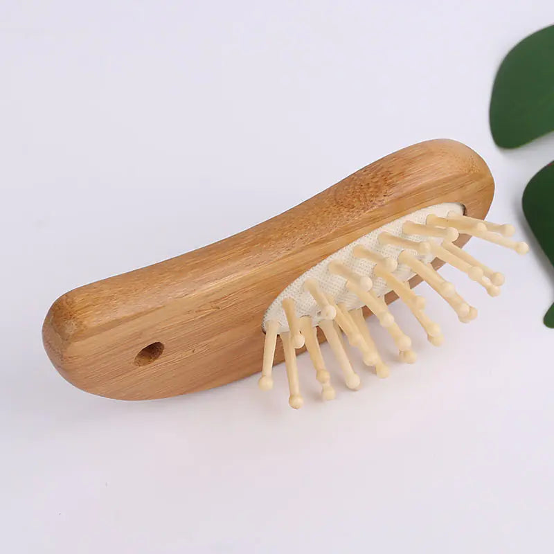 Premium Hair Detangler Brush